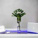 Valentina Апартаменты *